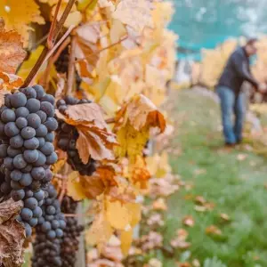 Explore Border Crossing: Santiago de Chile & Mendoza for 7 days with People Travel and Experience and discover unforgettable experiences - Photo 5