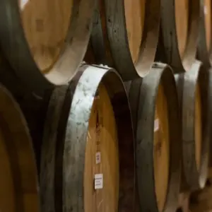 Explore Border Crossing: Santiago de Chile & Mendoza for 7 days with People Travel and Experience and discover unforgettable experiences - Photo 6