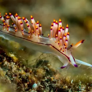 Explore Oman Adventure - 8 Days for 8 days with Peregrine Treks and Expedition Pvt Ltd and discover unforgettable experiences - Photo 3