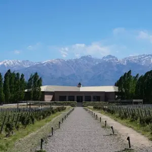 Explore Border Crossing: Santiago de Chile & Mendoza for 7 days with People Travel and Experience and discover unforgettable experiences - Photo 9