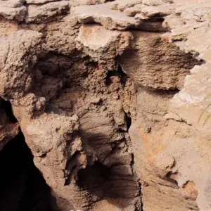 Explore Eastern Hajar Safari from Muscat Oman for 1 days with Peregrine Treks and Expedition Pvt Ltd and discover unforgettable experiences - Photo 4