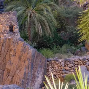 Explore Heart of Muscat Day Tour for 1 days with Peregrine Treks and Expedition Pvt Ltd and discover unforgettable experiences - Photo 4