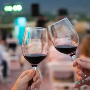 Explore Border Crossing: Santiago de Chile & Mendoza for 7 days with People Travel and Experience and discover unforgettable experiences - Photo 11