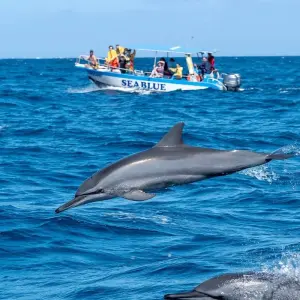 Explore Oman Adventure - 8 Days for 8 days with Peregrine Treks and Expedition Pvt Ltd and discover unforgettable experiences - Photo 11