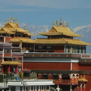 Explore 5 Days Memorable Nepal Trekking Tour for 5 days with Peregrine Treks and Expedition Pvt Ltd and discover unforgettable experiences - Photo 4