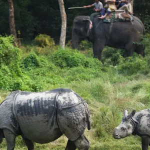 Explore 8 Days Nepal Highlights Tour (Kathmandu, Pokhara, and Chitwan Tour) for 8 days with Peregrine Treks and Expedition Pvt Ltd and discover unforgettable experiences - Photo 4