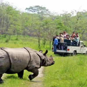 Explore Chitwan Jungle Safari 2 Night 3 Days for 3 days with Peregrine Treks and Expedition Pvt Ltd and discover unforgettable experiences - Photo 3