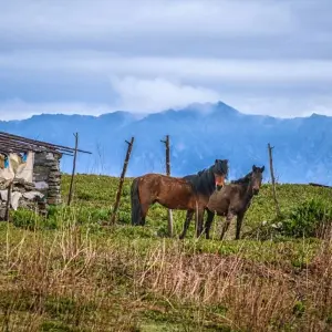 Explore Langtang Gosainkunda Trek for 15 days with Peregrine Treks and Expedition Pvt Ltd and discover unforgettable experiences - Photo 5