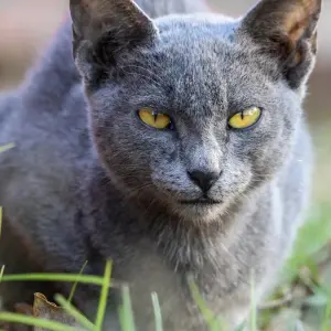 Explore Nepal and Bhutan Tour for 12 days with Peregrine Treks and Expedition Pvt Ltd and discover unforgettable experiences - Photo 2