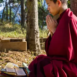 Explore Nepal and Bhutan Tour for 12 days with Peregrine Treks and Expedition Pvt Ltd and discover unforgettable experiences - Photo 6