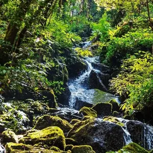 Explore Langtang Gosainkunda Trek for 15 days with Peregrine Treks and Expedition Pvt Ltd and discover unforgettable experiences - Photo 9