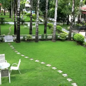 Explore Chitwan Jungle Safari 2 Night 3 Days for 3 days with Peregrine Treks and Expedition Pvt Ltd and discover unforgettable experiences - Photo 9