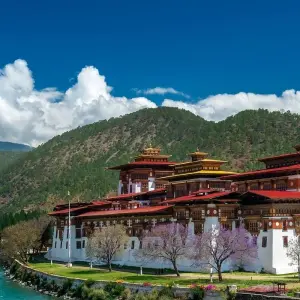 Explore Nepal and Bhutan Tour for 12 days with Peregrine Treks and Expedition Pvt Ltd and discover unforgettable experiences - Photo 11