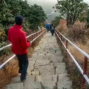 Explore Poon Hill trek from Pokhara for 3 days with Peregrine Treks and Expedition Pvt Ltd and discover unforgettable experiences - Photo 2