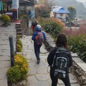 Explore Poon Hill trek from Pokhara for 3 days with Peregrine Treks and Expedition Pvt Ltd and discover unforgettable experiences - Photo 4