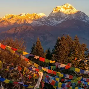 Explore Poon Hill trek from Pokhara for 3 days with Peregrine Treks and Expedition Pvt Ltd and discover unforgettable experiences - Photo 5