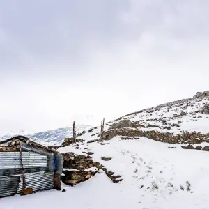 Explore Gosaikunda Lake Trek for 7 days with Peregrine Treks and Expedition Pvt Ltd and discover unforgettable experiences - Photo 7