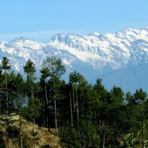 Explore Chisapani Nagarkot 2 Days Short Trek from Kathmandu for 2 days with Peregrine Treks and Expedition Pvt Ltd and discover unforgettable experiences - Photo 3