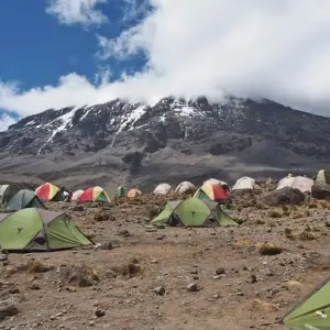 Explore 6 Days 5 nights Climb Mt Kilimanjaro via Rongai Route for 8 days with Perfect Wilderness Tours And Safaris and discover unforgettable experiences - Photo 3