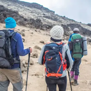 Explore 6 Days 5 nights Climb Mt Kilimanjaro via Rongai Route for 8 days with Perfect Wilderness Tours And Safaris and discover unforgettable experiences - Photo 5