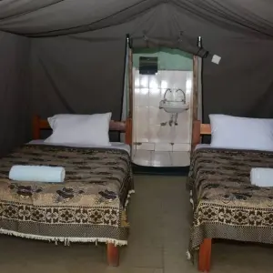 Explore 5 Days, 4 Nights Kenya And Tanzania Private Budget Camping Safari Package with Complimentary Airport Pickup. for 5 days with Perfect Wilderness Tours And Safaris and discover unforgettable experiences - Photo 2