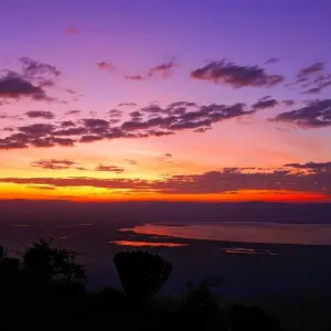 Explore 7 Days, 6 Nights Safari To Masai Mara, Lake Nakuru, Lake Naivasha And Amboseli Safari With Complimentary First Night Accommodation at After 40 Hotel Nairobi. for 7 days with Perfect Wilderness Tours And Safaris and discover unforgettable experiences - Photo 3