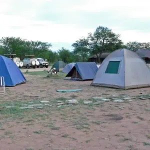 Explore 5 Days, 4 Nights Kenya And Tanzania Private Budget Camping Safari Package with Complimentary Airport Pickup. for 5 days with Perfect Wilderness Tours And Safaris and discover unforgettable experiences - Photo 5