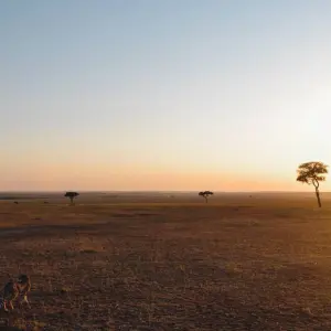 Explore 8 Days Kenya & Tanzania Safari (Private Lodging) with Complimentary First Night Accommodation at Raha Suites Hotel and free airport pickup. for 8 days with Perfect Wilderness Tours And Safaris and discover unforgettable experiences - Photo 8