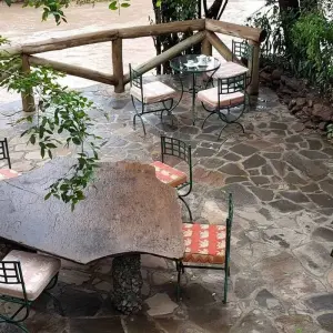 Explore 3 days 2 nights private safari to Maasai mara figtree CAMP for 3 days with Perfect Safari Africa tours and safaris and discover unforgettable experiences - Photo 3