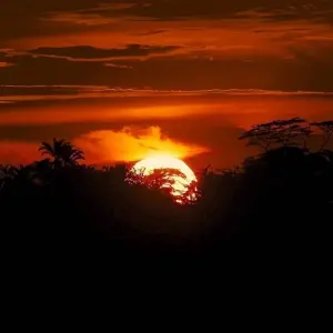 Explore 6 Days, 5 Nights Budget Safari To Masai Mara, Lake Nakuru And Amboseli for 6 days with Perfect Safari Africa tours and safaris and discover unforgettable experiences - Photo 3