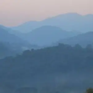 Explore 3 Days Gorilla Trekking Tour in Bwindi Forest Uganda – Flying option for 3 days with Perfect Wilderness Tours And Safaris and discover unforgettable experiences - Photo 5