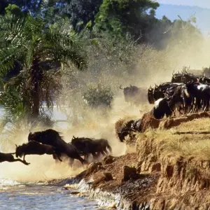 Explore 5 Days, 4 Nights Kenya And Tanzania Private Budget Camping Safari Package with Complimentary Airport Pickup. for 5 days with Perfect Wilderness Tours And Safaris and discover unforgettable experiences - Photo 10