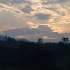 Explore 3 Days Gorilla Trekking Tour in Bwindi Forest Uganda – Flying option for 3 days with Perfect Wilderness Tours And Safaris and discover unforgettable experiences - Photo 6