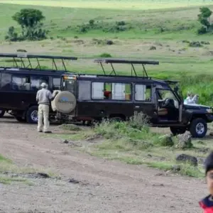 Explore 12 Days, 11 Nights Kenya, Tanzania Budget Camping Safari with Complementary First Night Accommodation at Best Western Plus Westaland for 12 days with Perfect Wilderness Tours And Safaris and discover unforgettable experiences - Photo 6