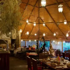 Explore 3 days 2 nights private safari to Maasai mara figtree CAMP for 3 days with Perfect Safari Africa tours and safaris and discover unforgettable experiences - Photo 5