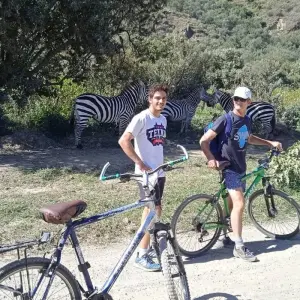 Explore 5 Days, 4 Nights Masai Mara, Lake Nakuru And Lake Naivasha/Hells Gate Budget Safari for 5 days with Perfect Safari Africa tours and safaris and discover unforgettable experiences - Photo 2