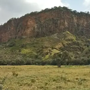 Explore 7 Days, 6 Nights Small Group Safari with Upgraded Accommodation to Masai Mara, Lake Nakuru, Lake Naivasha /Hell’s gate and Amboseli National Parks for 7 days with Perfect Safari Africa tours and safaris and discover unforgettable experiences - Photo 5