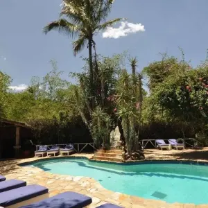 Explore 3 days 2 nights private safari to Maasai mara figtree CAMP for 3 days with Perfect Safari Africa tours and safaris and discover unforgettable experiences - Photo 7