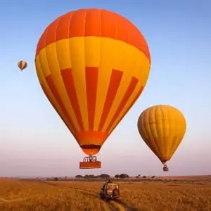 Explore 7 Days Private 4 Star safari to Masai Mara, Lake Nakuru, Hell’s Gate Naivasha & Amboseli National parks Using a 4WD JEEP with Complimentary First Night Accommodation at Raha Suites Hotel for 7 days with Perfect Wilderness Tours And Safaris and discover unforgettable experiences - Photo 8