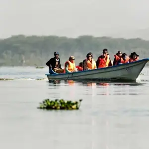 Explore 4 Days, 3 Nights Masai Mara and Lake Nakuru Group Joining Safari for 4 days with Perfect Safari Africa tours and safaris and discover unforgettable experiences - Photo 5