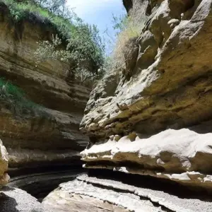 Explore 7 Days, 6 Nights Small Group Safari with Upgraded Accommodation to Masai Mara, Lake Nakuru, Lake Naivasha /Hell’s gate and Amboseli National Parks for 7 days with Perfect Safari Africa tours and safaris and discover unforgettable experiences - Photo 6