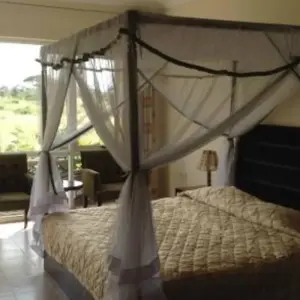 Explore 3 Days, 2 Nights Amboseli National Park From Nairobi for 3 days with Perfect Safari Africa tours and safaris and discover unforgettable experiences - Photo 3