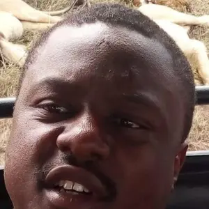 Explore 7 Days 6 Nights Budget Group Safari To Maasai Mara, Lake Nakuru, Naivasha and Amboseli Parks for 7 days with Perfect Safari Africa tours and safaris and discover unforgettable experiences - Photo 4