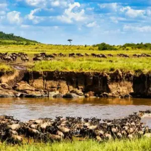 Explore 12 Days, 11 Nights Kenya, Tanzania Budget Camping Safari with Complementary First Night Accommodation at Best Western Plus Westaland for 12 days with Perfect Wilderness Tours And Safaris and discover unforgettable experiences - Photo 11