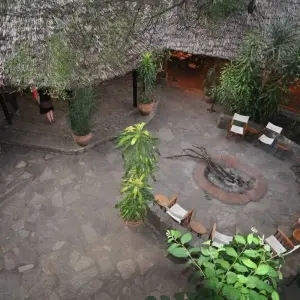 Explore 3 days 2 nights private safari to Maasai mara figtree CAMP for 3 days with Perfect Safari Africa tours and safaris and discover unforgettable experiences - Photo 10