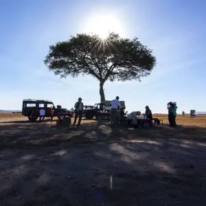 Explore 5 Days, 4 Nights Masai Mara, Lake Nakuru And Lake Naivasha/Hells Gate Budget Safari for 5 days with Perfect Safari Africa tours and safaris and discover unforgettable experiences - Photo 8