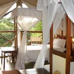 Explore 3 days 2 nights private safari to Maasai mara figtree CAMP for 3 days with Perfect Safari Africa tours and safaris and discover unforgettable experiences - Photo 11