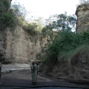 Explore 5 Days, 4 Nights Masai Mara, Lake Nakuru And Lake Naivasha/Hells Gate Budget Safari for 5 days with Perfect Safari Africa tours and safaris and discover unforgettable experiences - Photo 9