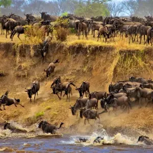 Explore 5 Days, 4 Nights Masai Mara, Lake Nakuru And Lake Naivasha/Hells Gate Budget Safari for 5 days with Perfect Safari Africa tours and safaris and discover unforgettable experiences - Photo 10