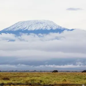 Explore 3 Days, 2 Nights Amboseli National Park From Nairobi for 3 days with Perfect Safari Africa tours and safaris and discover unforgettable experiences - Photo 8
